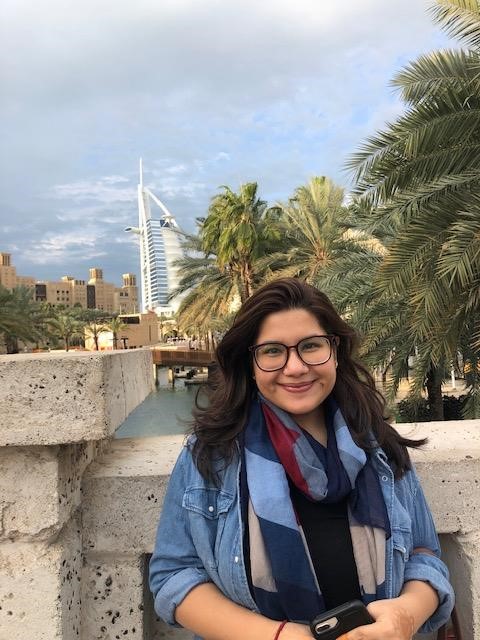 The Burj al Arab building is featured in the background. It is one of Dubai&#039;s most iconic skyline views. It was the first hotels built on a man made island in the UAE. 