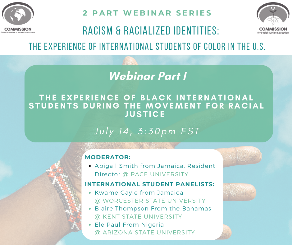 Webinar on Racism picture