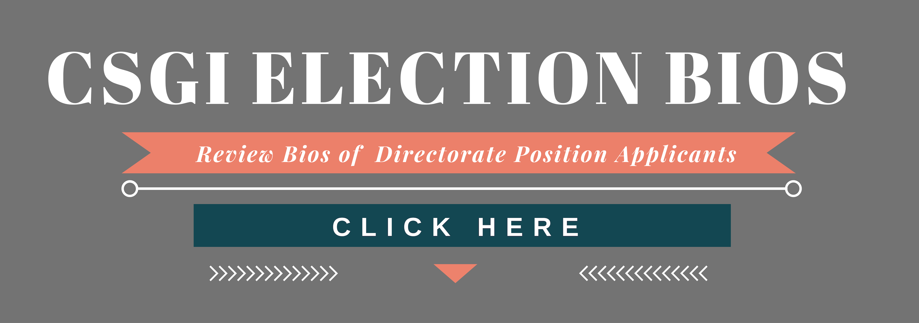 CSGI Election Bio Reviews for Directorate Applicants